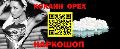 крисы Ливны