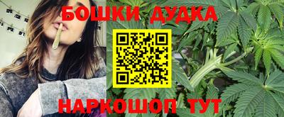 сатива Кулебаки