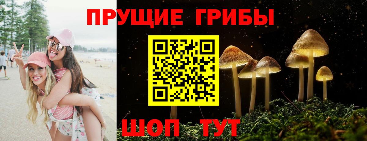 Галлюциногенные грибы ЛСД Кизляр