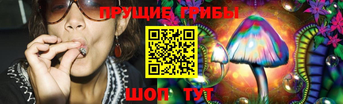 Псилоцибиновые грибы MAGIC MUSHROOMS  Псилоцибиновые грибы ЛСД  Кизляр  Вход с VPN 